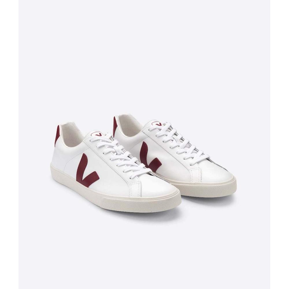 Veja ESPLAR LEATHER Tornacipő Női White/Red | HU 620JPQ